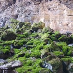 Lava Tubes