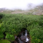 A hidden stream on the Trooper Traverse - Colorado