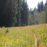 Nearing the end of the Trooper Traverse - Colorado