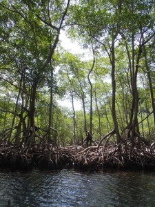 Los Haitises National Park