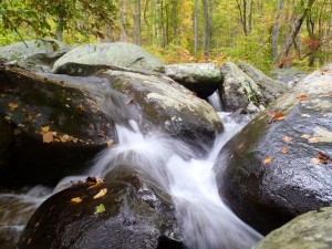 Shenandoah NP