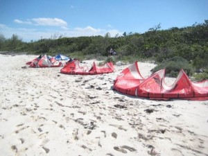 Kites on the beach